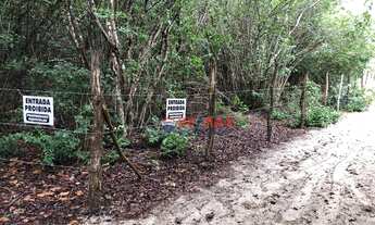Imagem: Terreno na Praia de Pipa, Tibau do Sul/RN