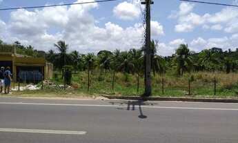 Imagem 4: Terreno totalmente plano em área privilegiada com 40.000 mts !