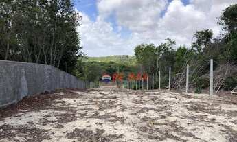 Imagem 3: Terreno com ótima localização na Praia de Pipa, Tibau do Sul/RN