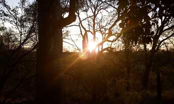 Imagem 6: Chácara 39 hectares com Cachoeiras a 14 km de Campo Grande