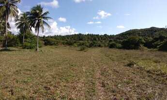 Imagem 3: Área rural 106 hectares em Conde Bahia