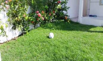 Imagem 3: Venda Linda casa