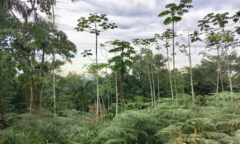 Imagem: Terreno Erwin Glau