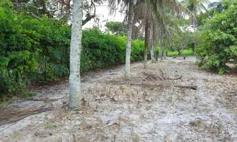 Imagem: 321)Lotes em Cações a 100m da Praia (