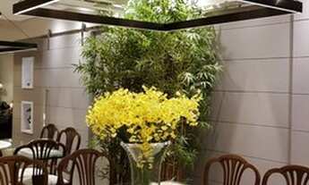 Imagem 3: Cobertura para venda com 264 metros quadrados com 3 quartos