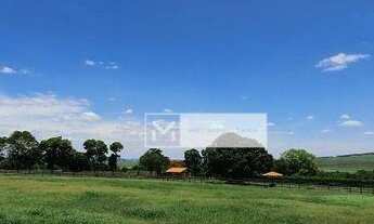 Imagem 6: Santo Antônio de Posse, Haras