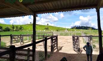 Imagem 5: Fazenda Com 405 Alqueires Localizada em Marabá-Pá