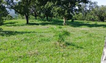 Imagem 6: Oportunidade! Vende-se um espetáculo de fazenda de 199 Alqueires