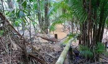 Imagem 6: FAZENDA Á VENDA EM BRASIL NOVO - PA - 663,08 HECTARES (DUPLA APTIDÃO