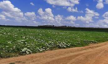 Imagem 2: Fazenda Núcleo Rural Itapeti 211 Hectares Escriturada e Registrada !!! 18.000.000 !!