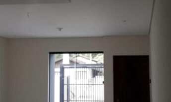 Imagem 6: Geminado no Floresta