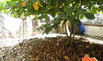 Imagem 3: TERRENO MEDINDO 110,00 M²