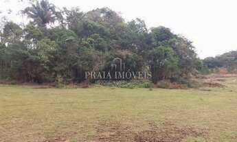 Imagem 5: Terreno Próximo ao Colégio Agrícola em Camboriú