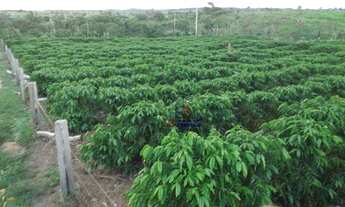 Imagem: Sítio com 2 dormitórios à venda, 338800