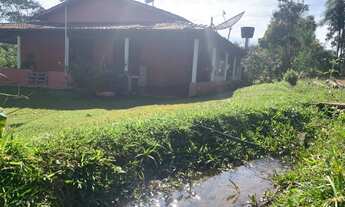 Imagem: Chácara 66.000 m2 em São Miguel do Passa