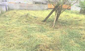 Imagem 6: Terreno no Bairro Campeche em excelente localização