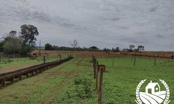 Imagem 6: Sitio para venda sentido Uberaba com 7,5 alqueires