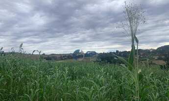 Imagem 6: Área para chácara Maravilha Londrina