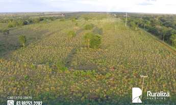 Imagem 5: Fazenda com dupla aptidão na região de Cristalândia - TO