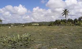 Imagem 3: Lote em Sítio do Conde, 1.755 m²