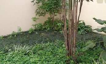 Imagem 2: Apartamento em Paulicéia - São Bernardo do Campo