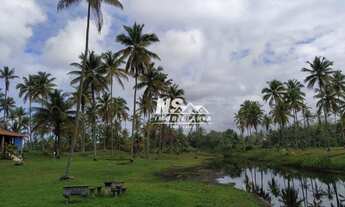 Imagem 5: Terreno na Praia