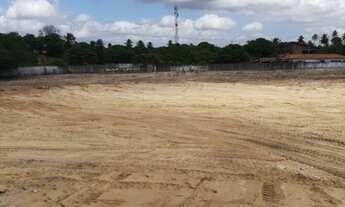 Imagem 2: Terreno 9616m² frente para a rodovia CE421