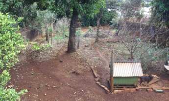 Imagem 5: Casa com 3 dormitórios à venda, 148 m² por R$ 550.000,00 - Vila Tolentino - Cascavel/PR