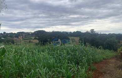 Imagem 5: Área para chácara Maravilha Londrina
