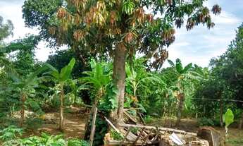 Imagem: Vendo chácara no Capão grande - Cuiabá