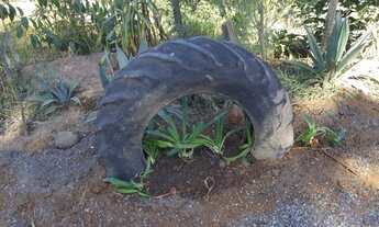 Imagem 4: Terreno 2.341m2 em Jarinu R$ 75.000,00 a vista