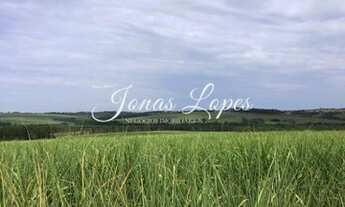 Imagem 3: L Alqueires em Cana - Indianopolis - Paraná