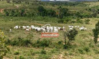 Imagem 4: Fazenda em Lizarda-TO. > 358 Alq. (1.732 Há). p/ Lavoura