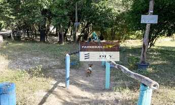 Imagem 6: Chácara Extra em Aparecida de Goiânia ! 2.5 Alqueires !