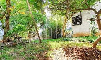 Imagem 6: Casa térrea com uma bela área verde