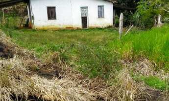 Imagem 2: Vendo excelente fazenda agricultura em Valença
