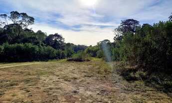 Imagem 7: ANITÁPOLIS/SC - Lindo terreno com 5.9hectares