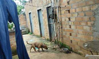 Imagem 3: Lote Casa com 3 dormitórios