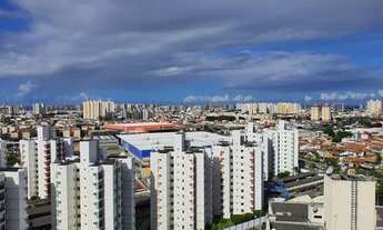 Imagem 2: Arboris Jabotiana