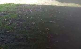 Imagem 3: Casa para venda possui 200 metros quadrados com 3 quartos em São Francisco (Mosqueiro) - B