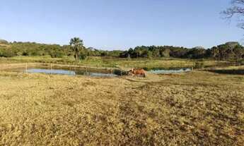 Imagem 2: CHACÁRA EM GUAPÓ COM 20.000 m²