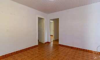 Imagem 2: Samambaia (Norte