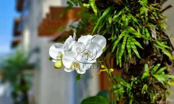 Imagem 4: Casa em condomínio com 3 suítes para venda e locações