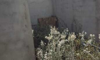 Imagem 6: Casa nas Malvinas