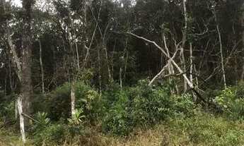 Imagem 2: Terreno na praia