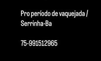 Imagem: Aluga-se apartamento pra vaquejada de serrinha