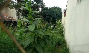 Imagem 5: Terreno - Jardim Proença I - Campinas