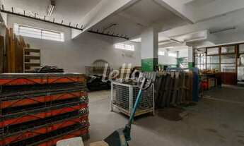 Imagem 4: São Paulo - Galpão/Depósito/Armazém - Santa Cecília