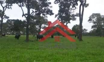 Imagem: Fazenda à venda, 4840000 m² por R$ 13.000.000,00