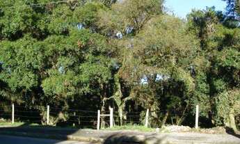 Imagem: Terreno no bairro Canelinha em Canela!